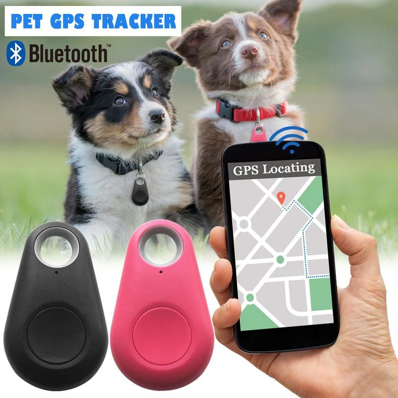 Rastreador para Cães (Frete Grátis)