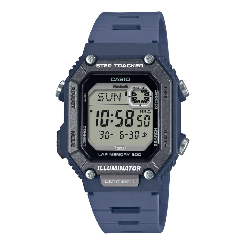 WSB1000-2A